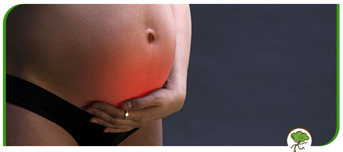 Preterm Birth Near Me in Winter Park, FL Preterm Birth Near Me in Winter Park, FL