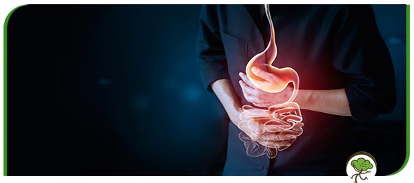 Diarrhea Treatment Specialist in Winter Park FL Diarrhea Treatment Specialist in Winter Park FL