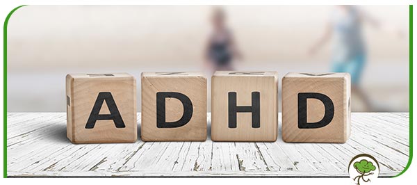 ADHD Diagnosis in Children Near Me in Winter Park FL ADHD Diagnosis in Children Near Me in Winter Park FL