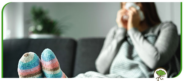 Flu Vaccination Clinic Near Me in Winter Park, FL Flu Vaccination Clinic Near Me in Winter Park, FL