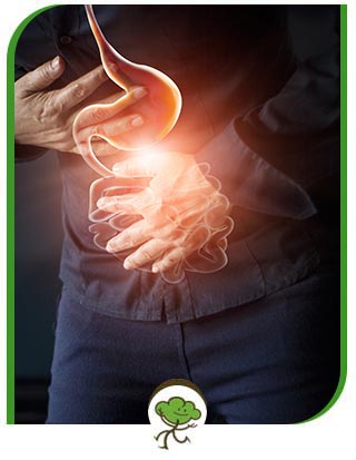 Diarrhea Treatment at Kidswood Pediatrics in Winter Park, FL