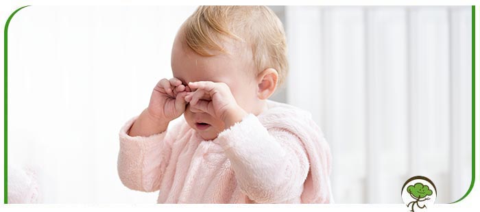 Pink Eye Treatment Specialist Near Me in Winter Park, FL Pink Eye Treatment Specialist Near Me in Winter Park, FL